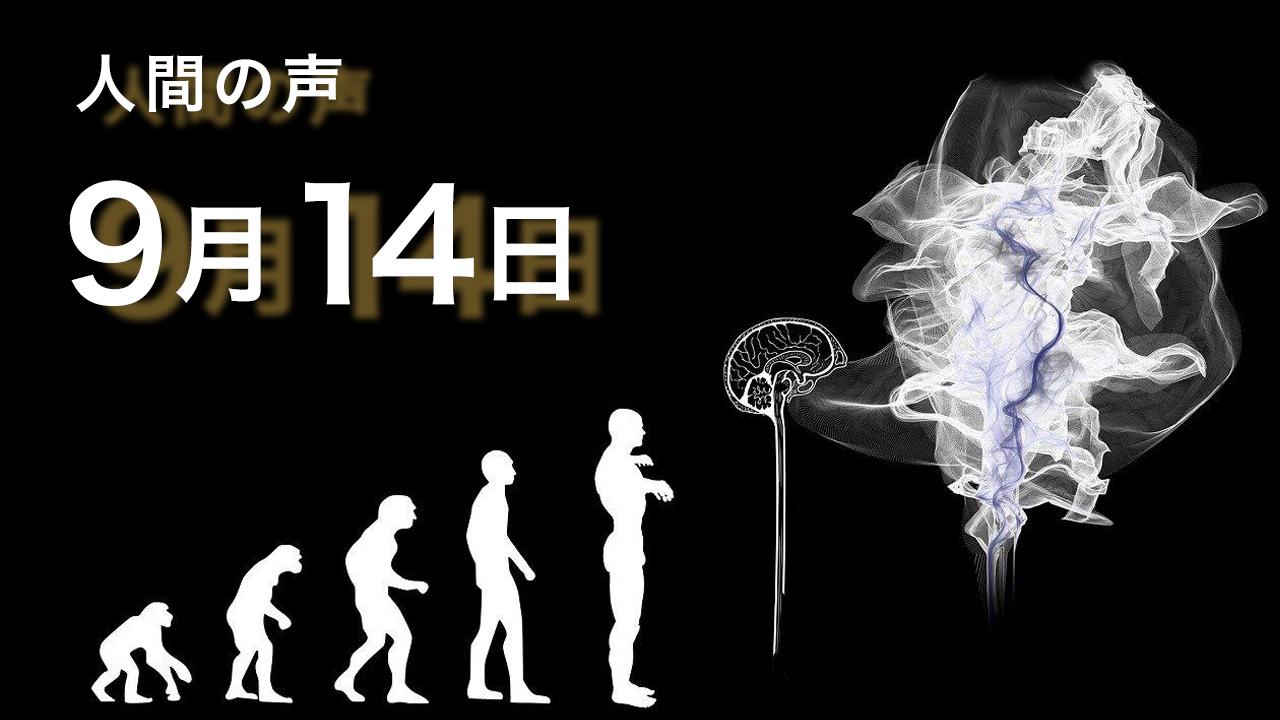 「アラブ諸国は油田を爆破する」 | 独立メディア塾